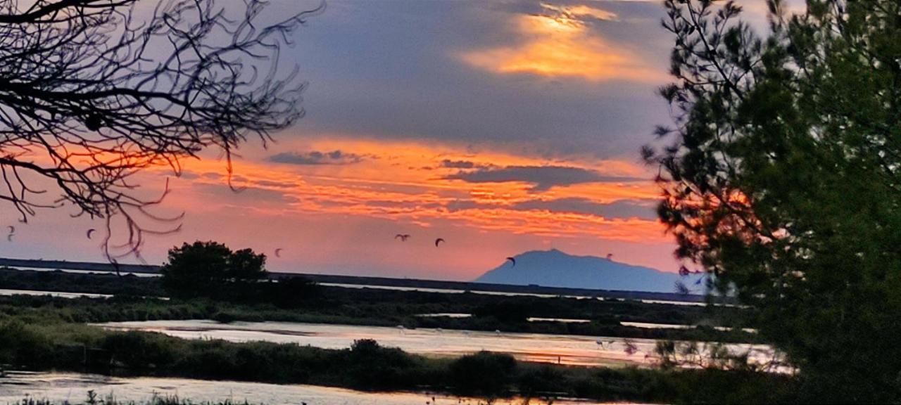 Suite Avec Tropezienne Vue Mer Hyères Exteriör bild